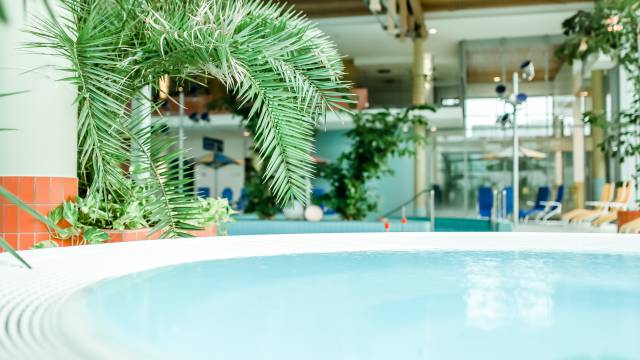 Hotel Antoniushof - Hot tubs