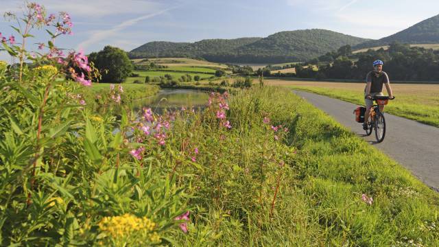 Radfahrer fährt auf Leine-Heide-Radweg